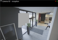 Máscaras de privacidad eliminadas. Las máscaras de privacidad permanentes permanecen.